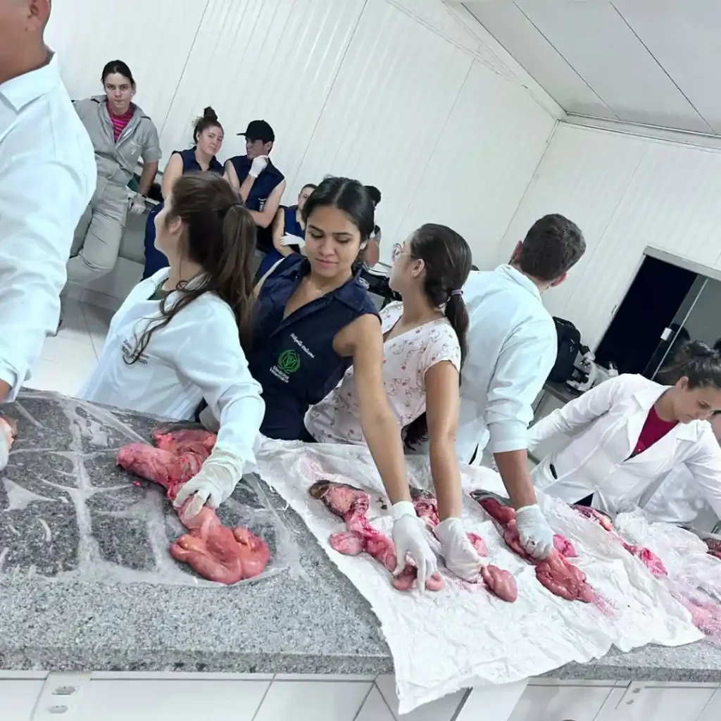 Estudantes do UniBRASÍLIA vivenciam aula prática de reprodução animal (2).opti