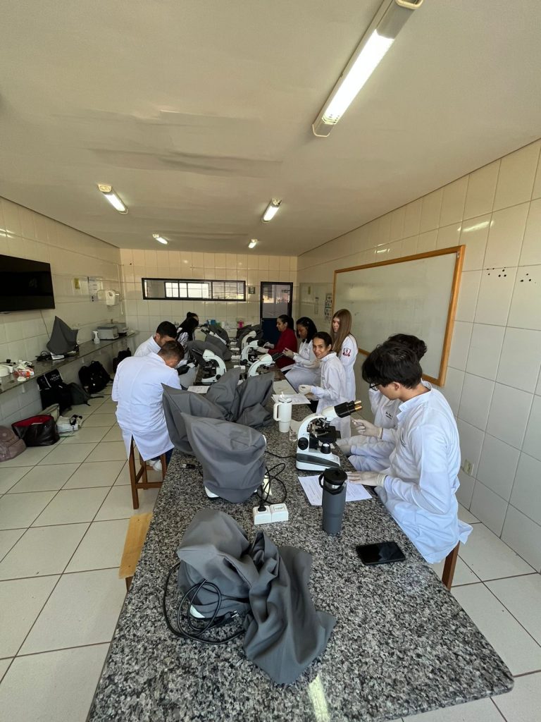 Explorando o mundo da odontologia aula prática com a Profª Lilian Regina (1)