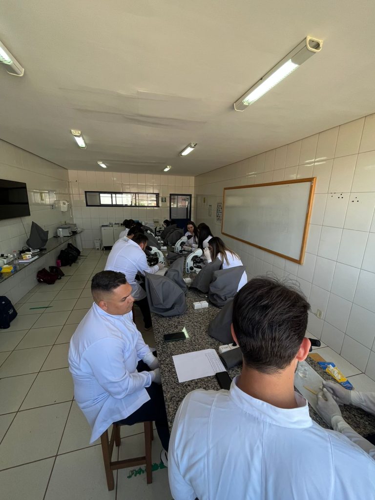 Explorando o mundo da odontologia aula prática com a Profª Lilian Regina (3)