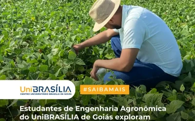 Estudantes de Engenharia Agronômica do UniBRASÍLIA de Goiás exploram a produção de feijão em visita técnica