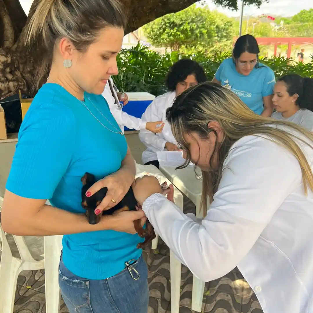 Universitarios de Medicina Veterinaria e UniBRASILIA de Goias promovem campanha de vacinacao em Aurilandia 4.opti  - Universitários de Medicina Veterinária e UniBRAS de Montes Belos promovem campanha de vacinação em Aurilândia