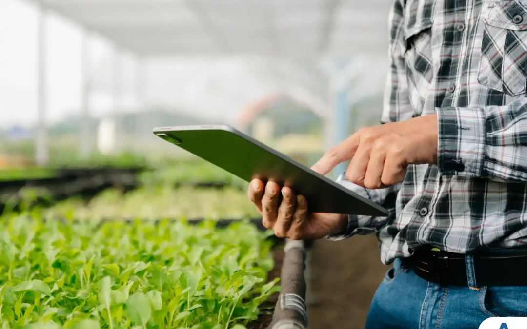 Descubra as Vantagens e Oportunidades do Curso de Agronomia na UniBRAS