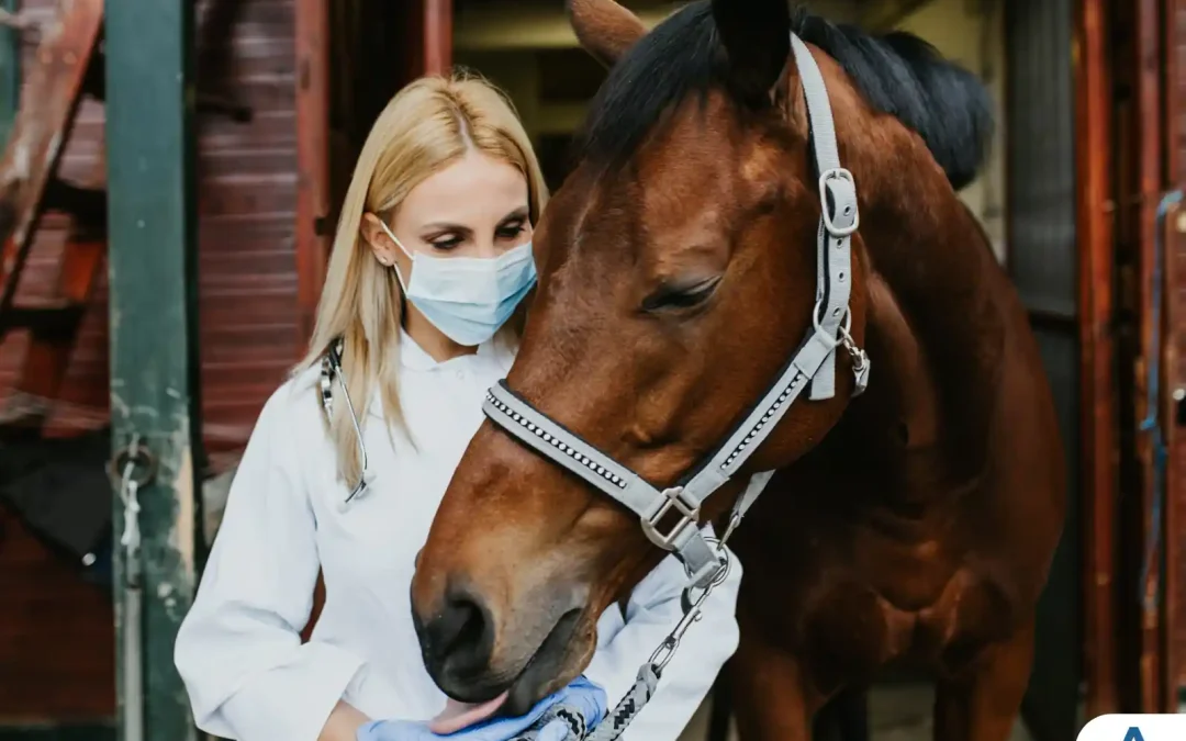 Descubra as Vantagens e Oportunidades do Curso de Medicina Veterinária na UniBRAS